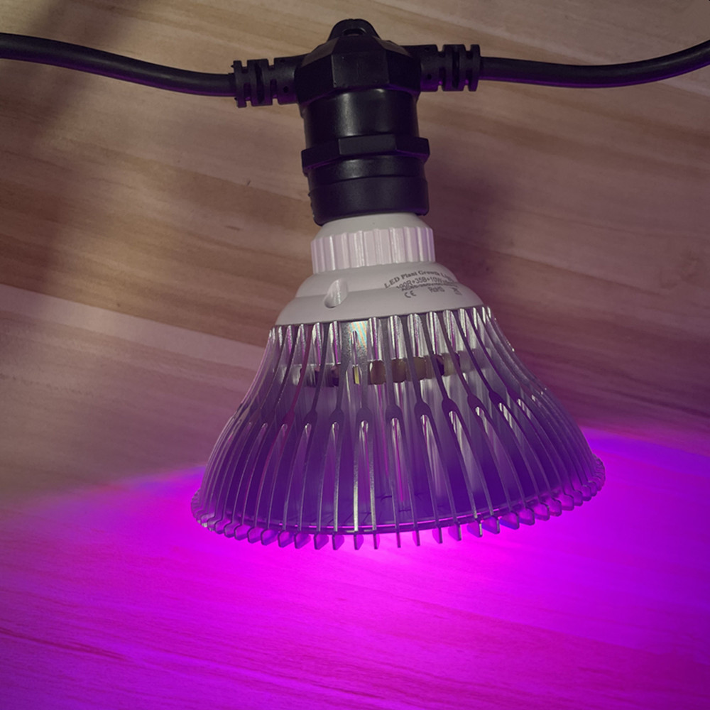 สายไฟ LED ยาว 10 เมตร เกรดเชิง - Lighting Decoration Ideas บทวิจารณ์และราคา