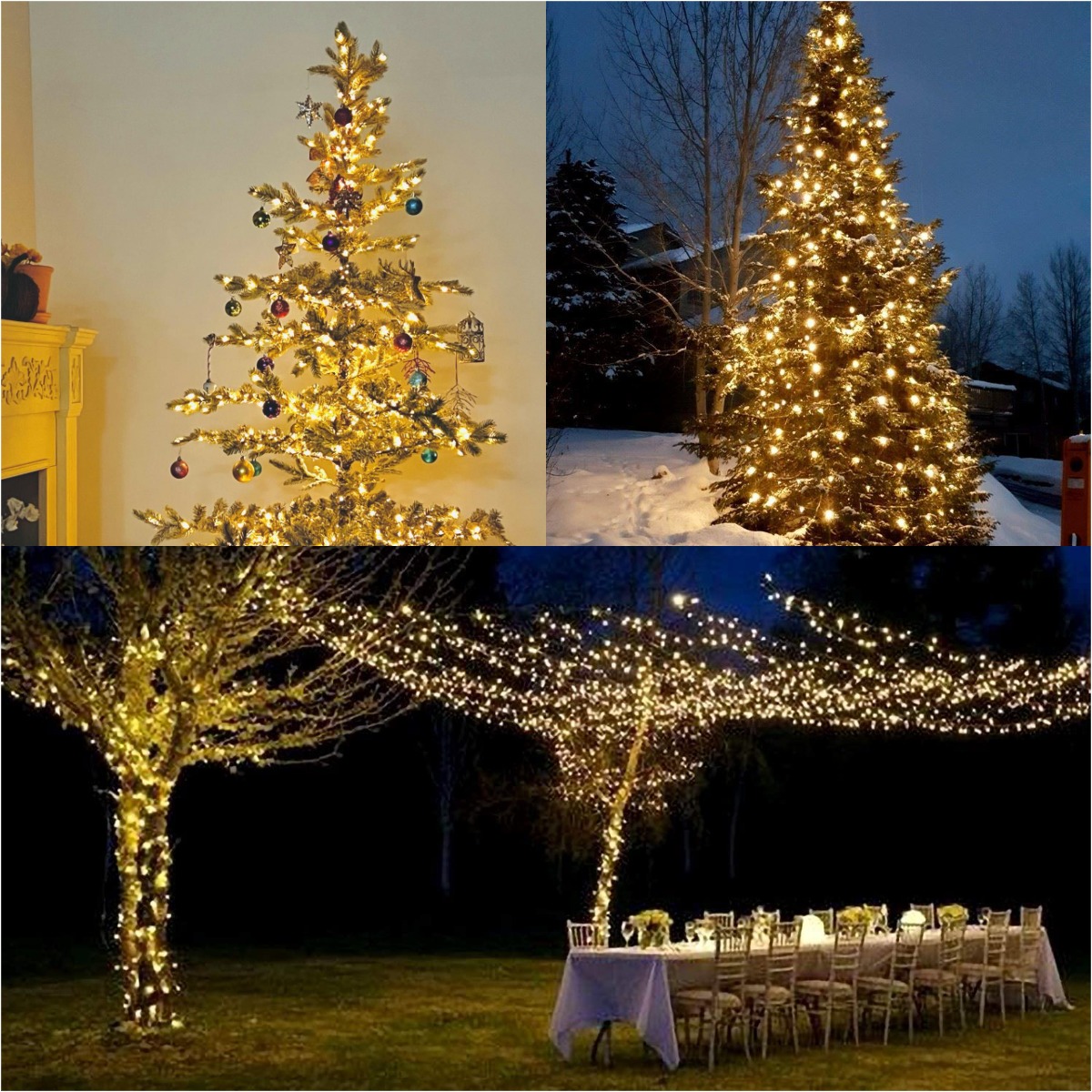 เพิ่มเติม LED สีเขียวลวด Garla - Lighting Decor And More บทวิจารณ์และราคา